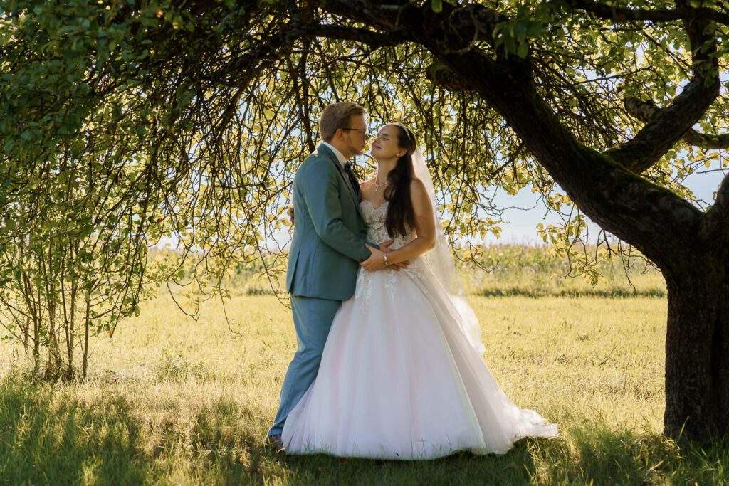 brautpaar unter einem baum