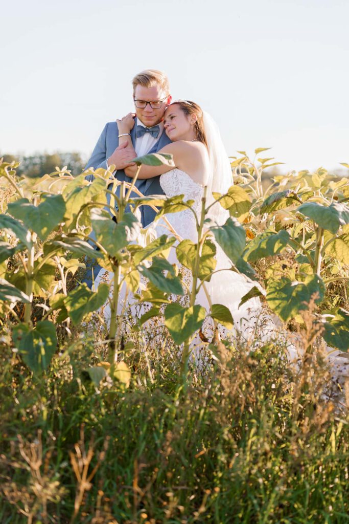 brautpaar kuscheln im sonnenblumenfeld
