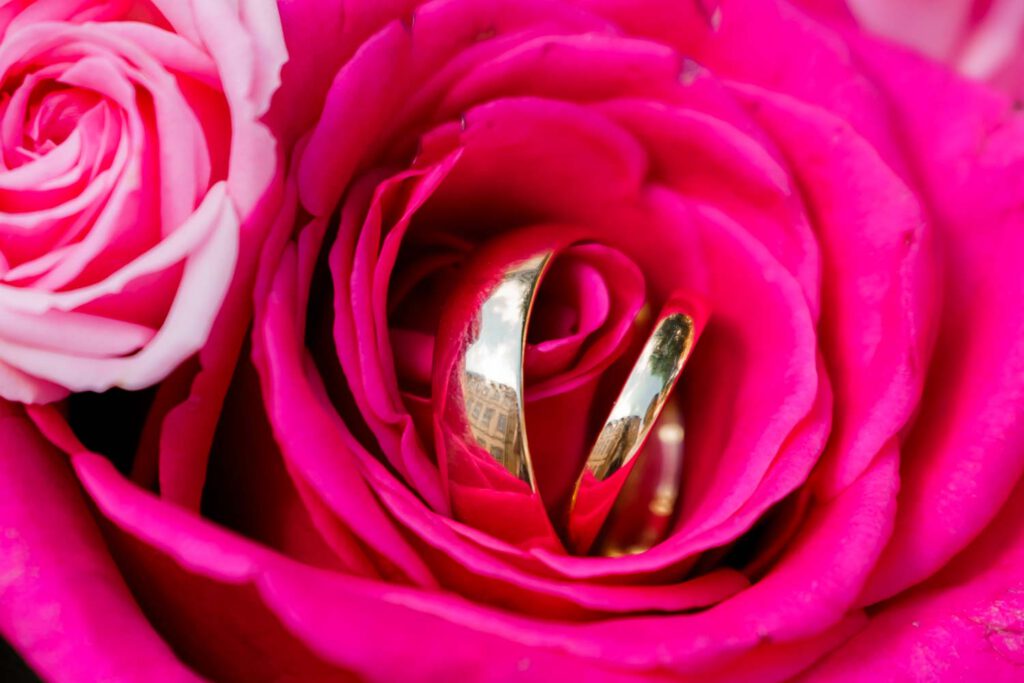 ringe im brautstrauss pink