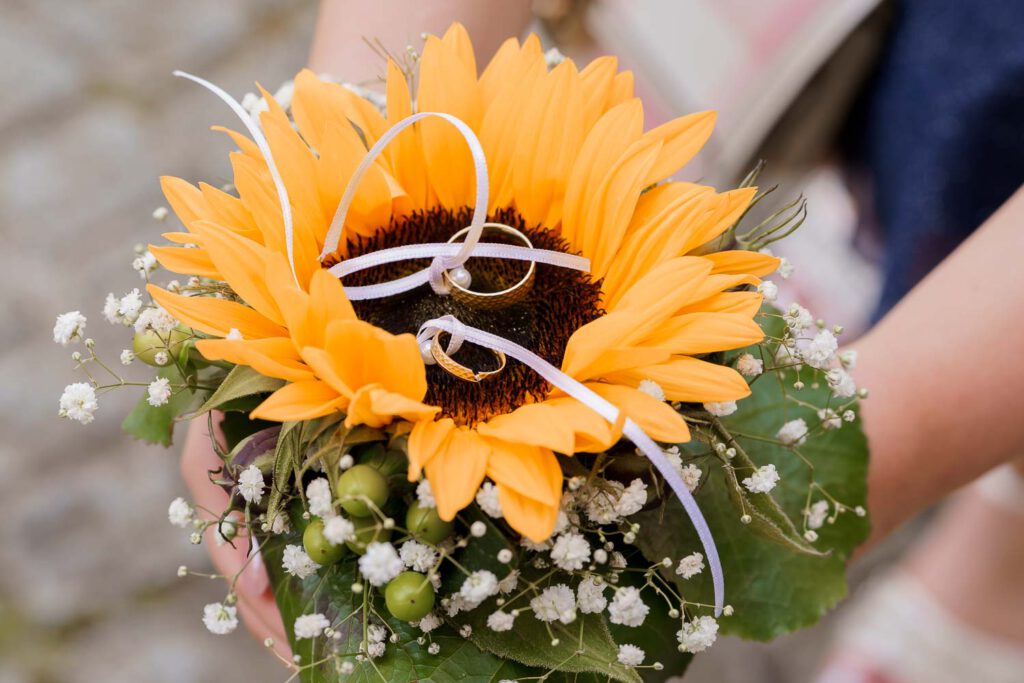 ringe in sonnenblume