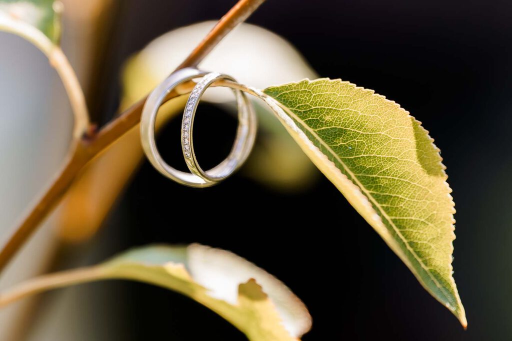 trauringe hochzeit nuernberger land